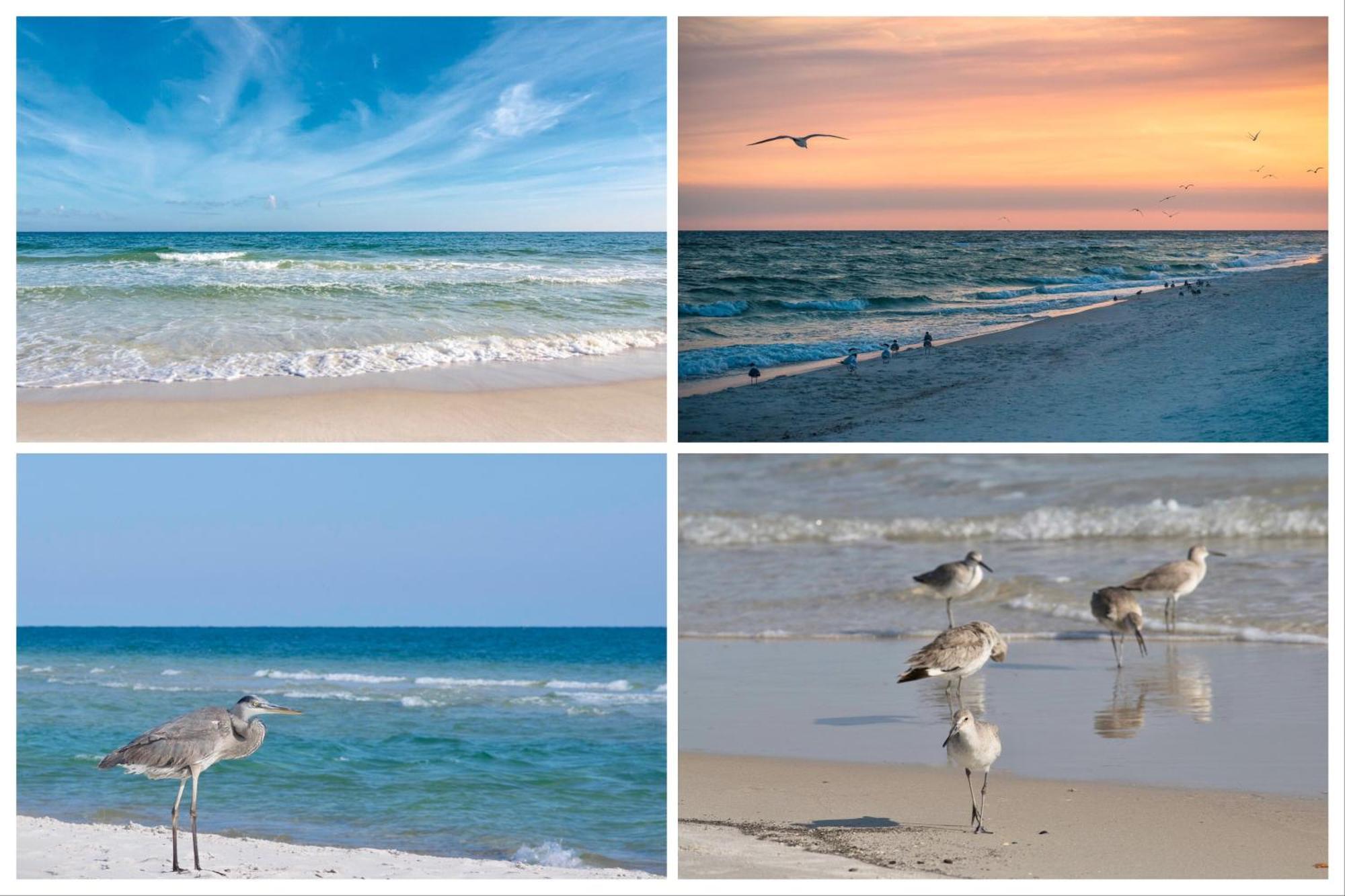 Island Winds East Unit 401 Villa Gulf Shores Room photo